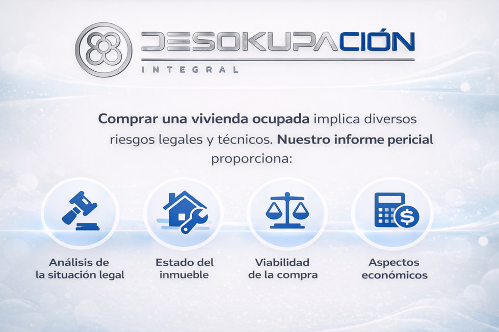 Infografía informe pericial